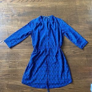 blue cheetah print long sleeve dress